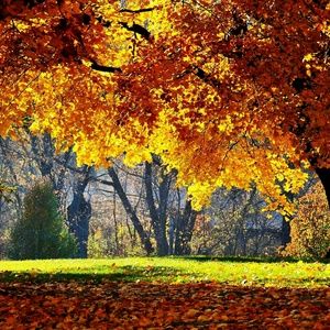 Meet your Posher, Tameka